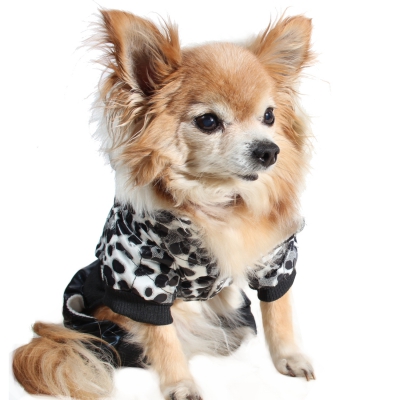 Hunde Jacke Mantel Winter Weste Hundebekleidung Leoparden Look Gr. S - 1