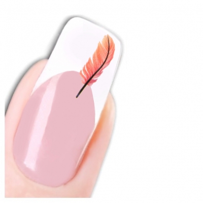 Tattoo Nail Art Feder Aufkleber Nagel Sticker Neu! - 1