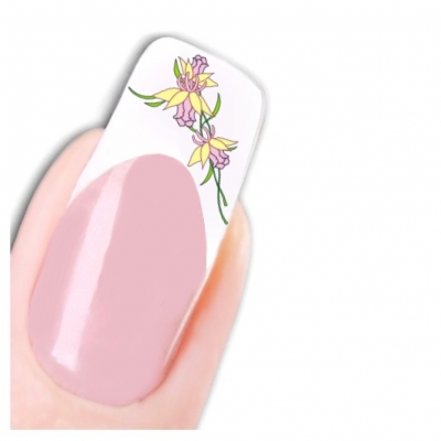 Tattoo Nail Art Narzissen Aufkleber Nagel Sticker - 1