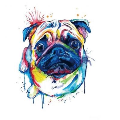 Temporäres Tattoo Mops Hund Pug Bunt Design Temporary Klebetattoo Körperkunst - 1