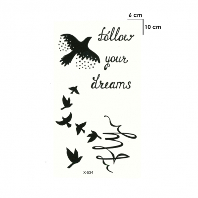 Temporäres Tattoo Vogel follow your dreams Design Temporary Klebetattoo Körperkunst - 1