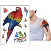 Temporäres Tattoo Papagei Schmetterling Wellensittich Design Temporary Klebetattoo Körperkunst